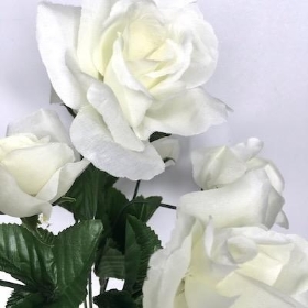 White Carnival Rose Bush 32cm
