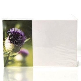 Purple Thistle Small Florist Cards x 50