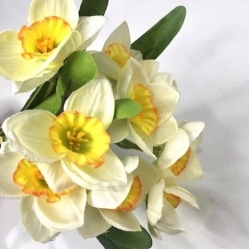 Cream Daffodil Bundle 30cm