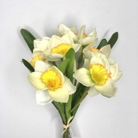 Cream Daffodil Bundle 30cm