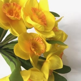 Yellow Daffodil Bundle 30cm
