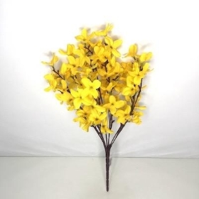 Yellow Forsythia Bush 48cm