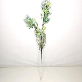 Light Blue Leucadendron 66cm