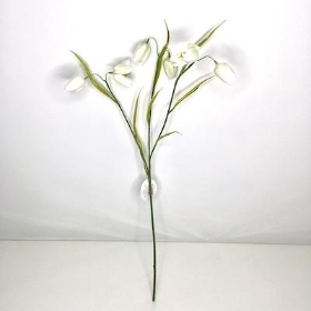Ivory Fritillaria 57cm