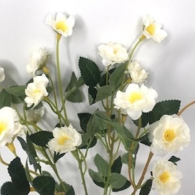 Ivory Buttercup Bush 36cm