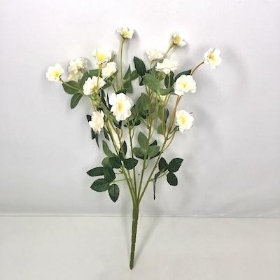 Ivory Buttercup Bush 36cm