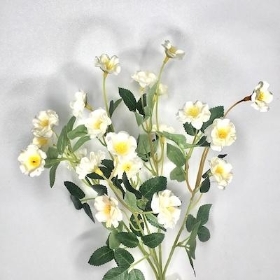 Ivory Buttercup Bush 36cm