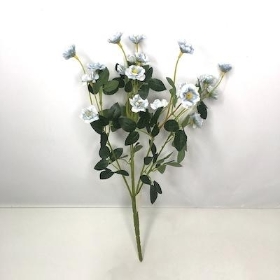 Pale Blue Buttercup Bush 36cm