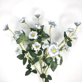 Pale Blue Buttercup Bush 36cm