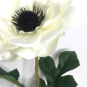 Ivory Anemone 48cm