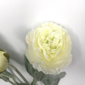 Ivory Ranunculus Spray 49cm