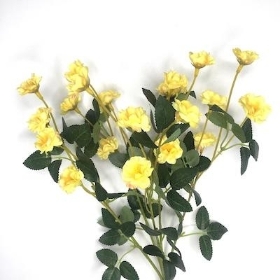 Yellow Buttercup Bush 36cm