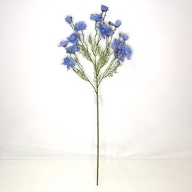 Pale Blue Double Cosmos 71cm