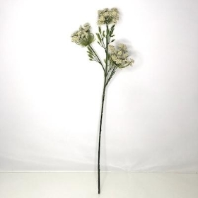 Cream Cow Parsley 72cm