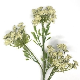 Cream Cow Parsley 72cm