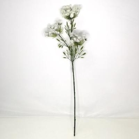 White Cow Parsley 72cm