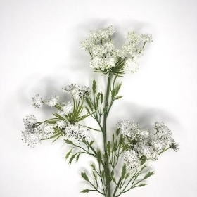 White Cow Parsley 72cm