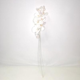 White Phalaenopsis Orchid 74cm