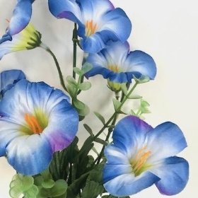 Blue Petunia Bush 30cm