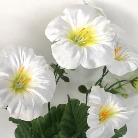 White Petunia Bush 30cm