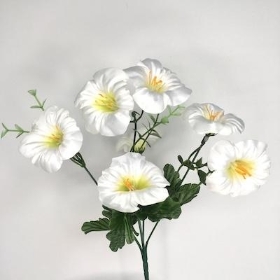 White Petunia Bush 30cm