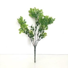 Light Green Ruta Bush 32cm