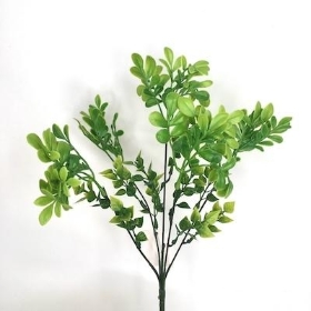 Light Green Ruta Bush 32cm