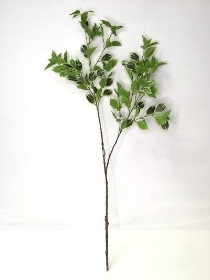 Variegated Ficus Spray 96cm