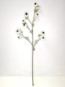 White Black Eyed Susan 108cm