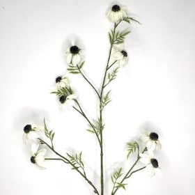 White Black Eyed Susan 108cm