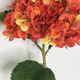 Orange Mix Hydrangea 63cm