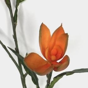 Orange Ginger Lily 76cm