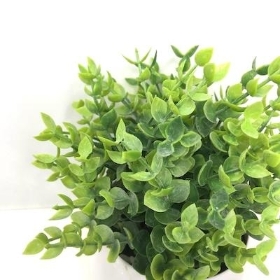 Green Frosted Eucalyptus Planter 16cm