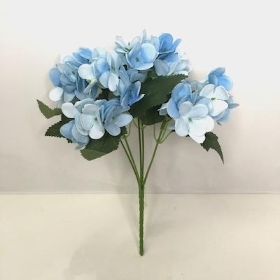 Blue Hydrangea Bush 24cm