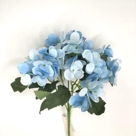 Blue Hydrangea Bush 24cm