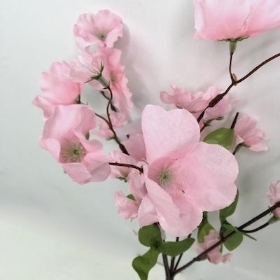 Pale Pink Cherry Blossom Bush 37cm