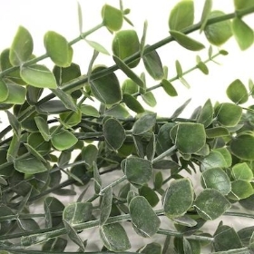 Green Trailing Frosted Eucalyptus Foliage 76cm