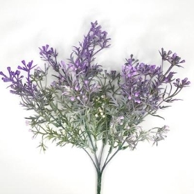 Lilac Heather Bush 33cm