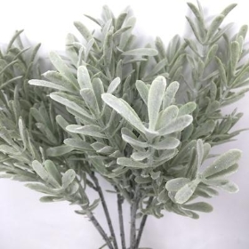 Frosted Tarragon Bundle 35cm