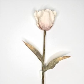 Ivory Oyster Tulip 70cm