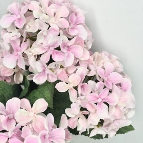 Light Pink Hydrangea Bush 41cm