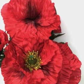 Red Poppy Bush 39cm