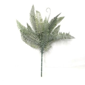 Green Dusted Royal Fern Bush 43cm