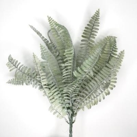 Green Dusted Royal Fern Bush 43cm