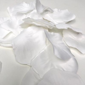 White Rose Petals x 1000