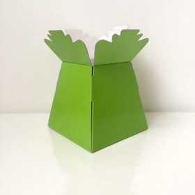 Lime Green Sweet Bouquet Box x 30