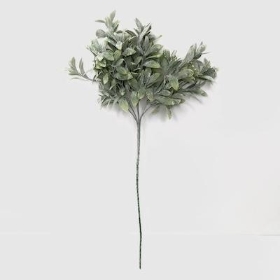 Green Frosted Bayleaf Stem 55cm