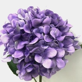 Dusky Lilac Hydrangea 53cm