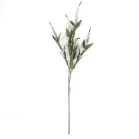 White Spray Veronica 70cm