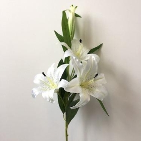 Lily White Large 104cm